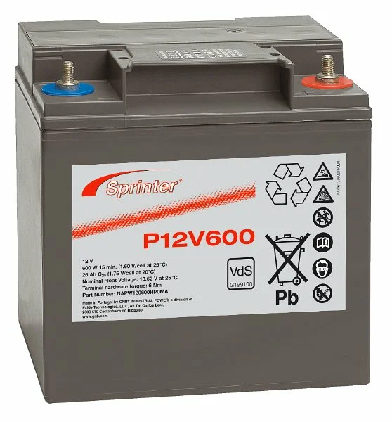 EXIDE Sprinter P12V600, 12V 24Ah, M-M6 Gewinde