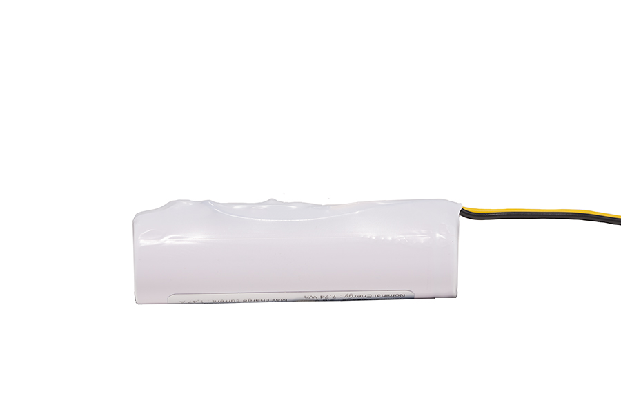PA-L19 CGR-18650CF 1S1P