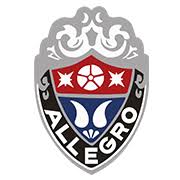 ALLCHA16 48V 10.5Ah Lithium Rahmen Akku