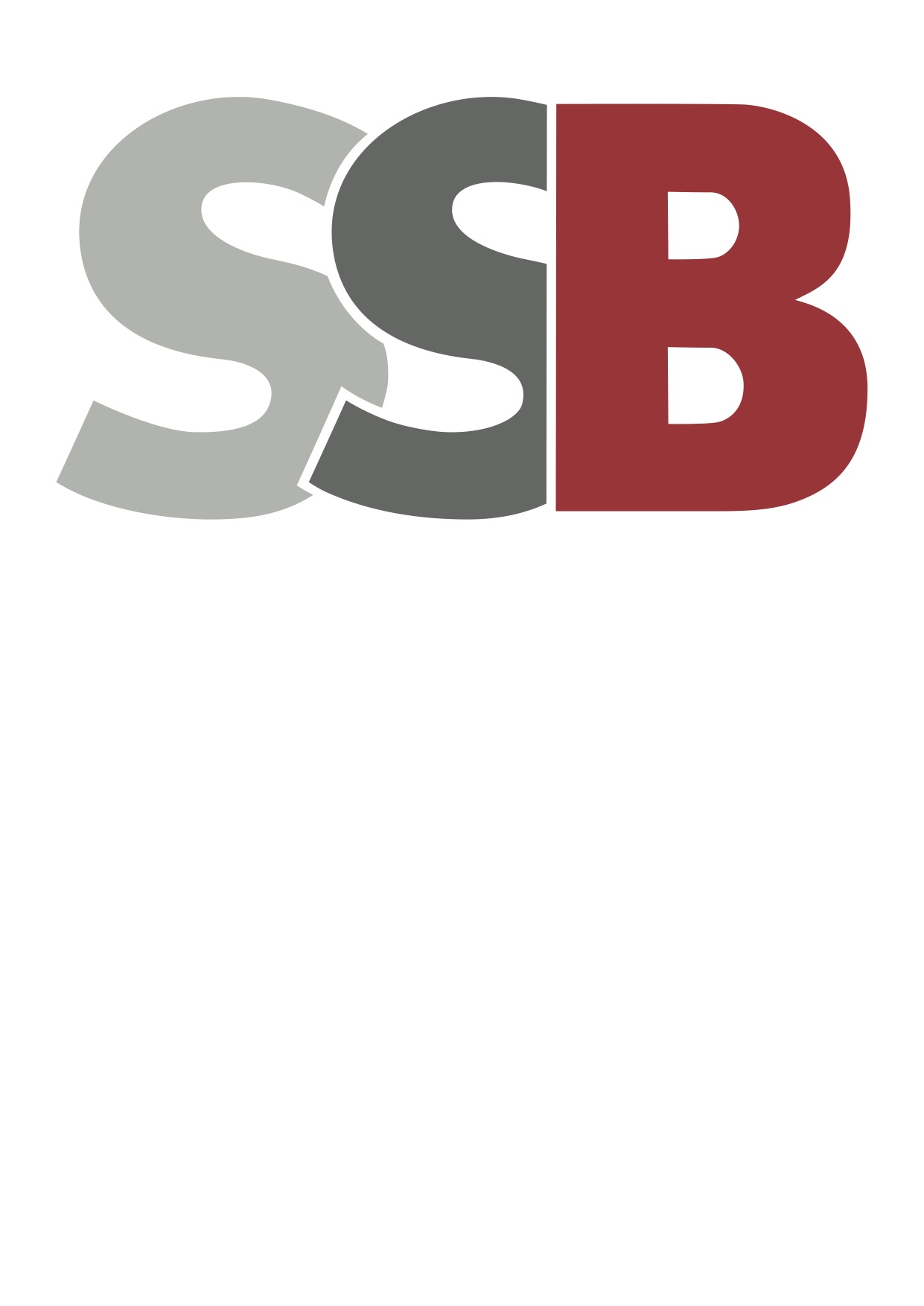SSB SBLV 24-12i, Blei-Vlies-Akku, 12V / 24Ah - NICHT lieferbar, bestellen Sie 201956!